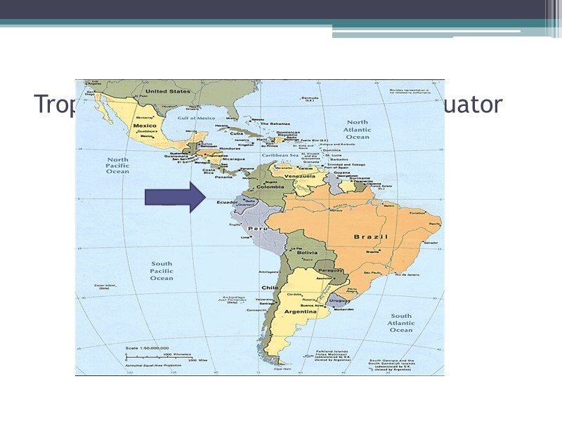 Tropical Climate: arrow indicates equator